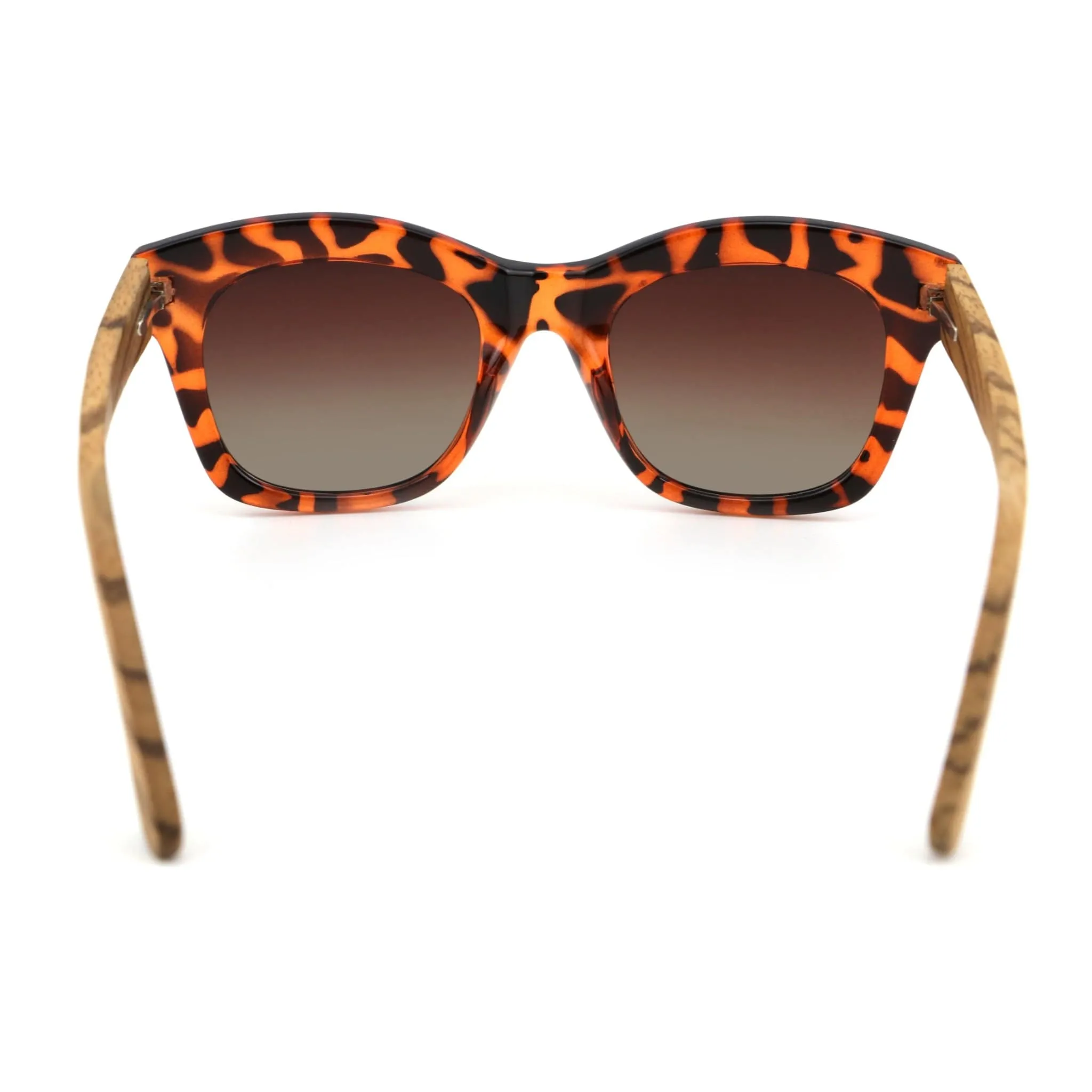 Chloe | Acetate & Walnut Sunglasses