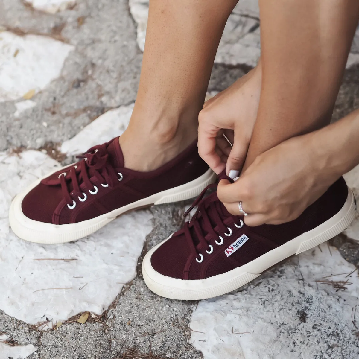 Cotu Classic Trainers                             Dark Bordeaux