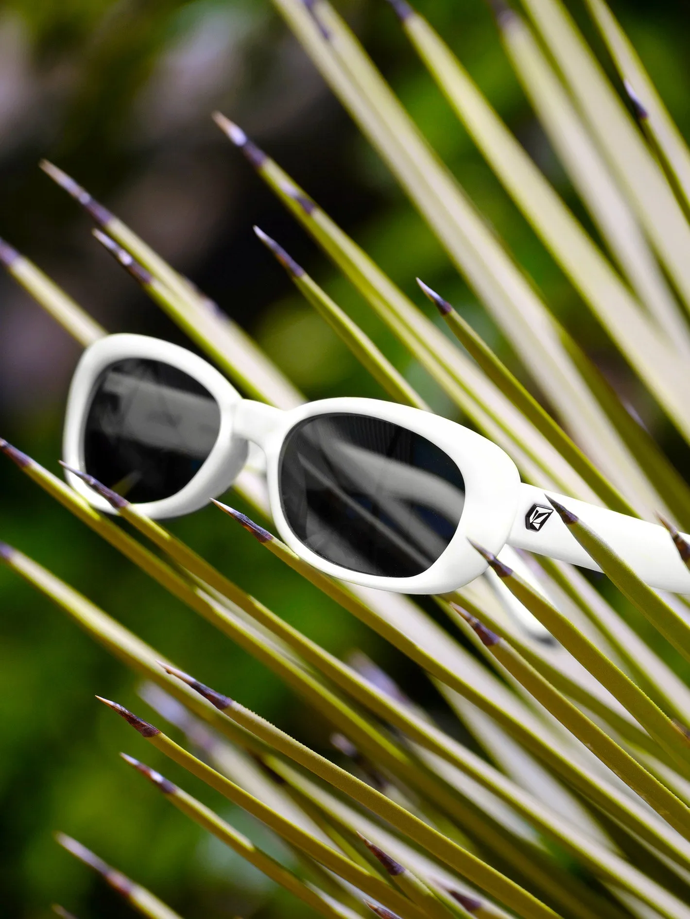 Jam Sunglasses -  Gloss White