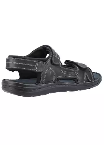 Mens Black Alistair Sandals by Hush Puppies | Look Again