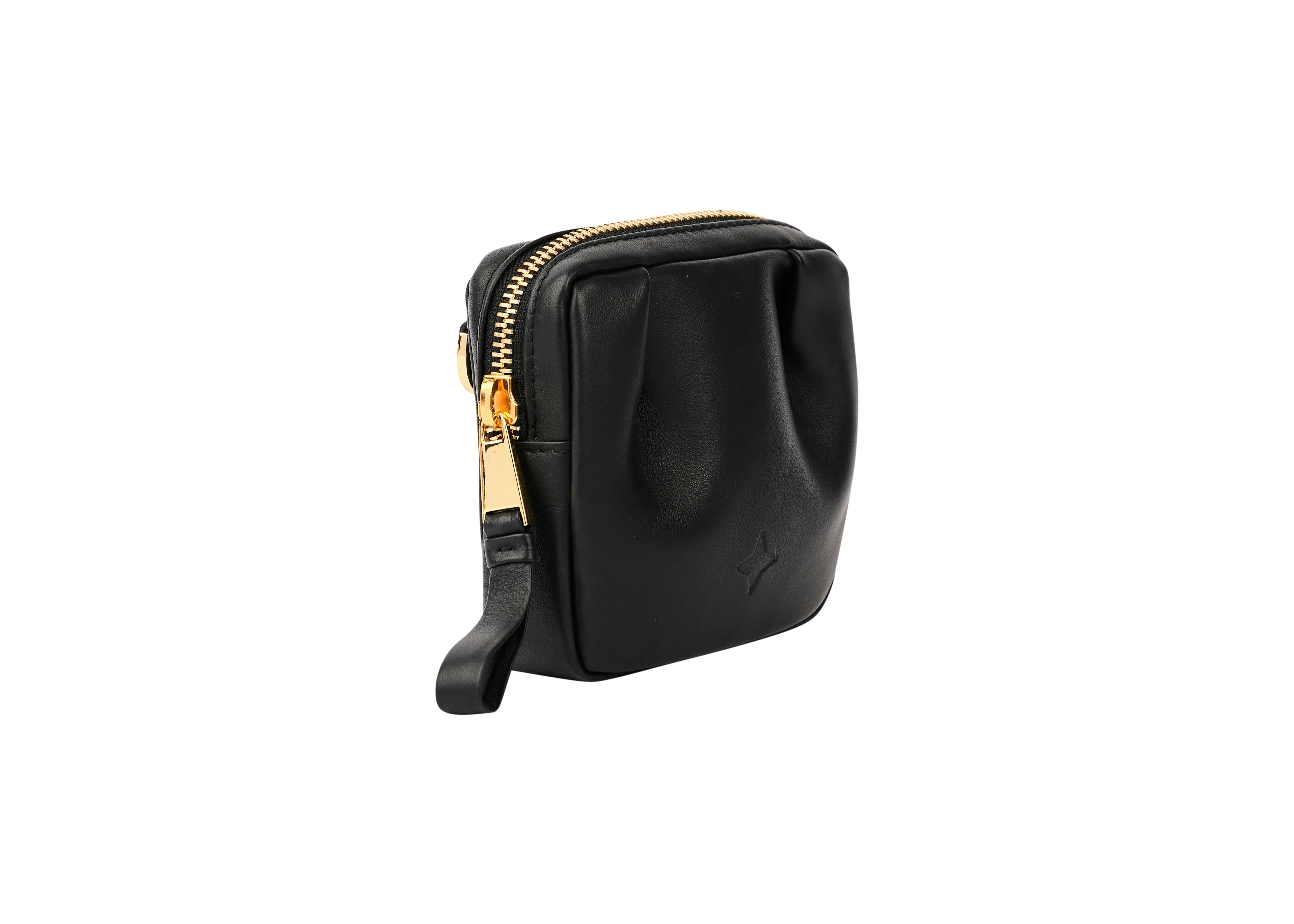 Mini Paulina Black Accessory Bag