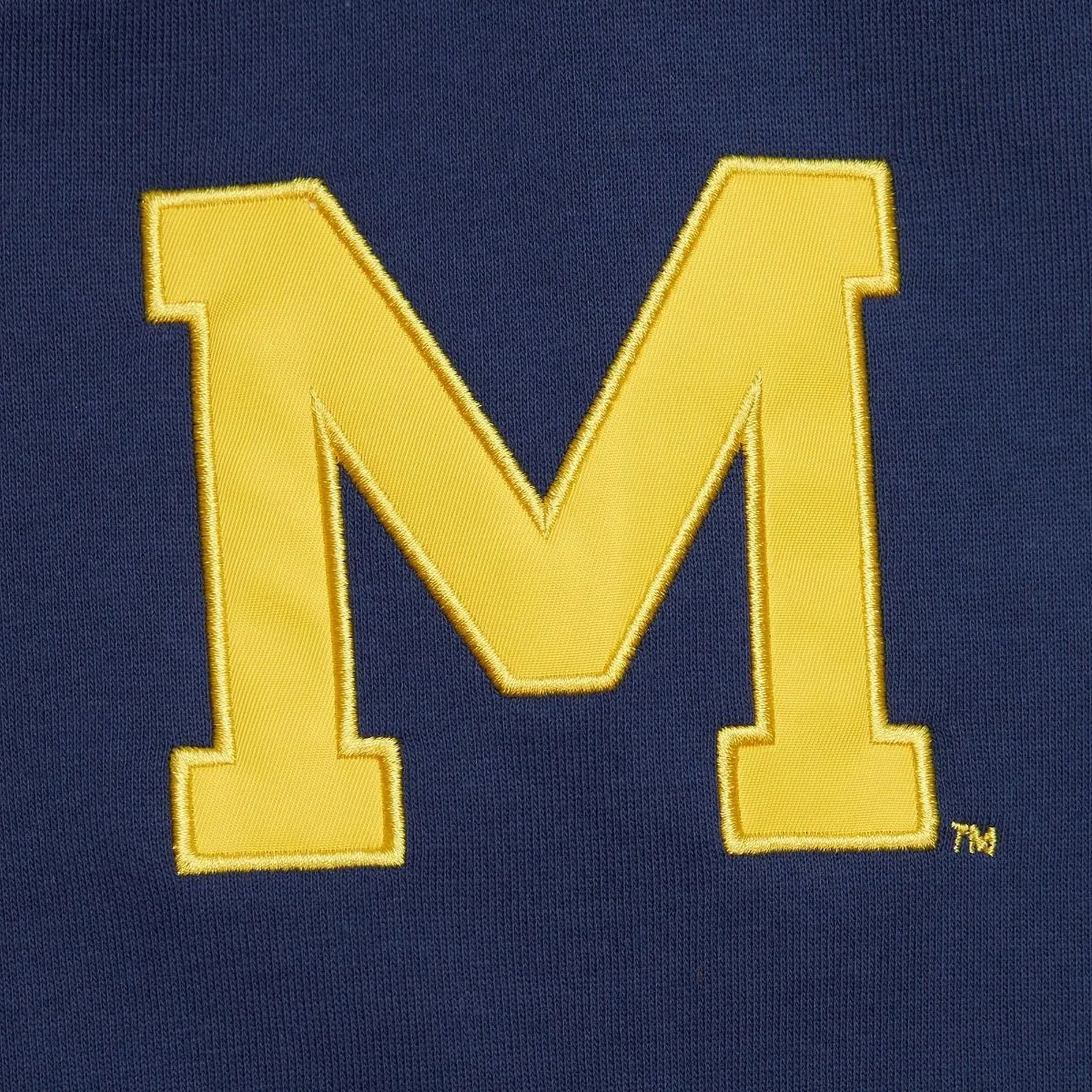 NBA Team OG 2.0 Fleece Hoodie Vintage Logo University Of Michigan