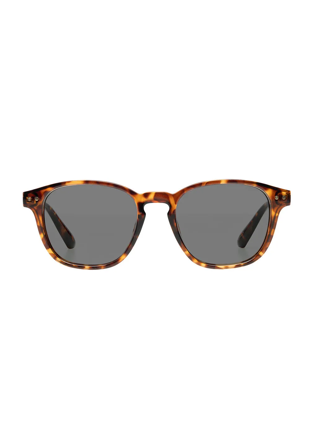 Phoenix - Polarised Demi Sunglasses