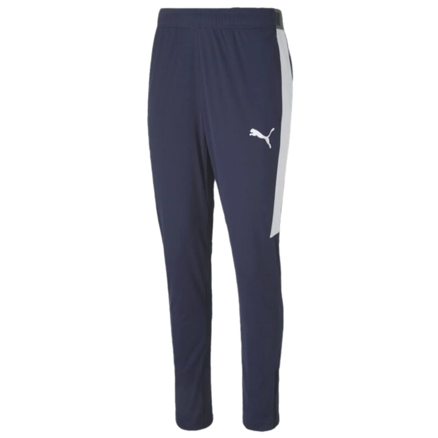 Puma Men's Speed Pant | 65629909