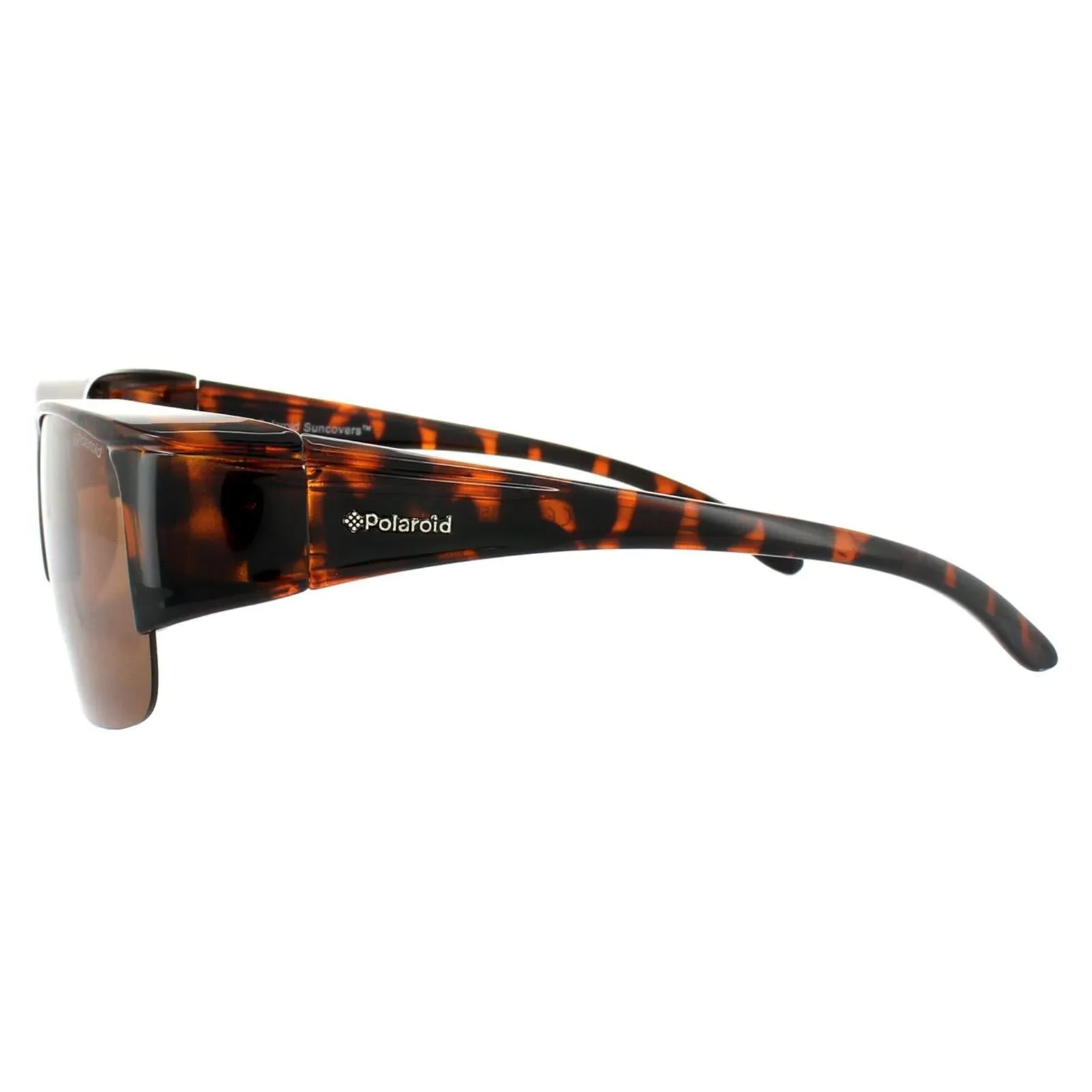 Sunglasses | Suncovers Semi Rimless Dark Havana Copper Polarized Sunglasses | Polaroid