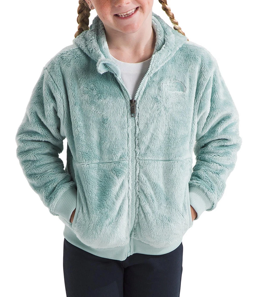 The North Face Little Kids 2T-7 Long Sleeve Osito Full-Zip Fleece Hoodie